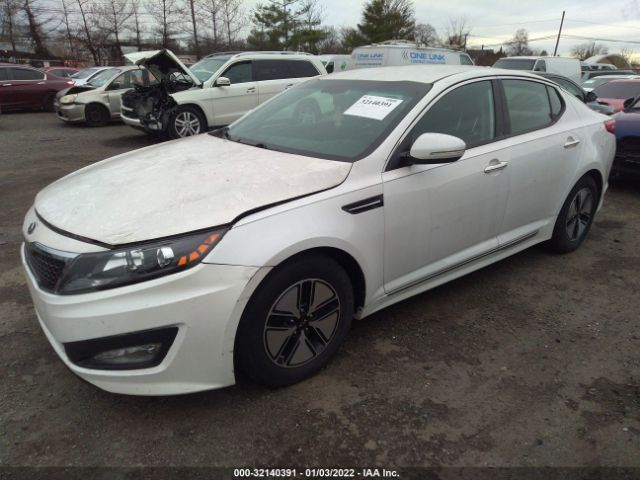 Photo 1 VIN: KNAGM4AD1B5008302 - KIA OPTIMA 