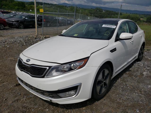 Photo 1 VIN: KNAGM4AD1C5032049 - KIA OPTIMA HYB 