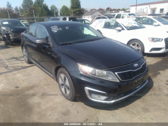 Photo 0 VIN: KNAGM4AD1D5049841 - KIA OPTIMA 