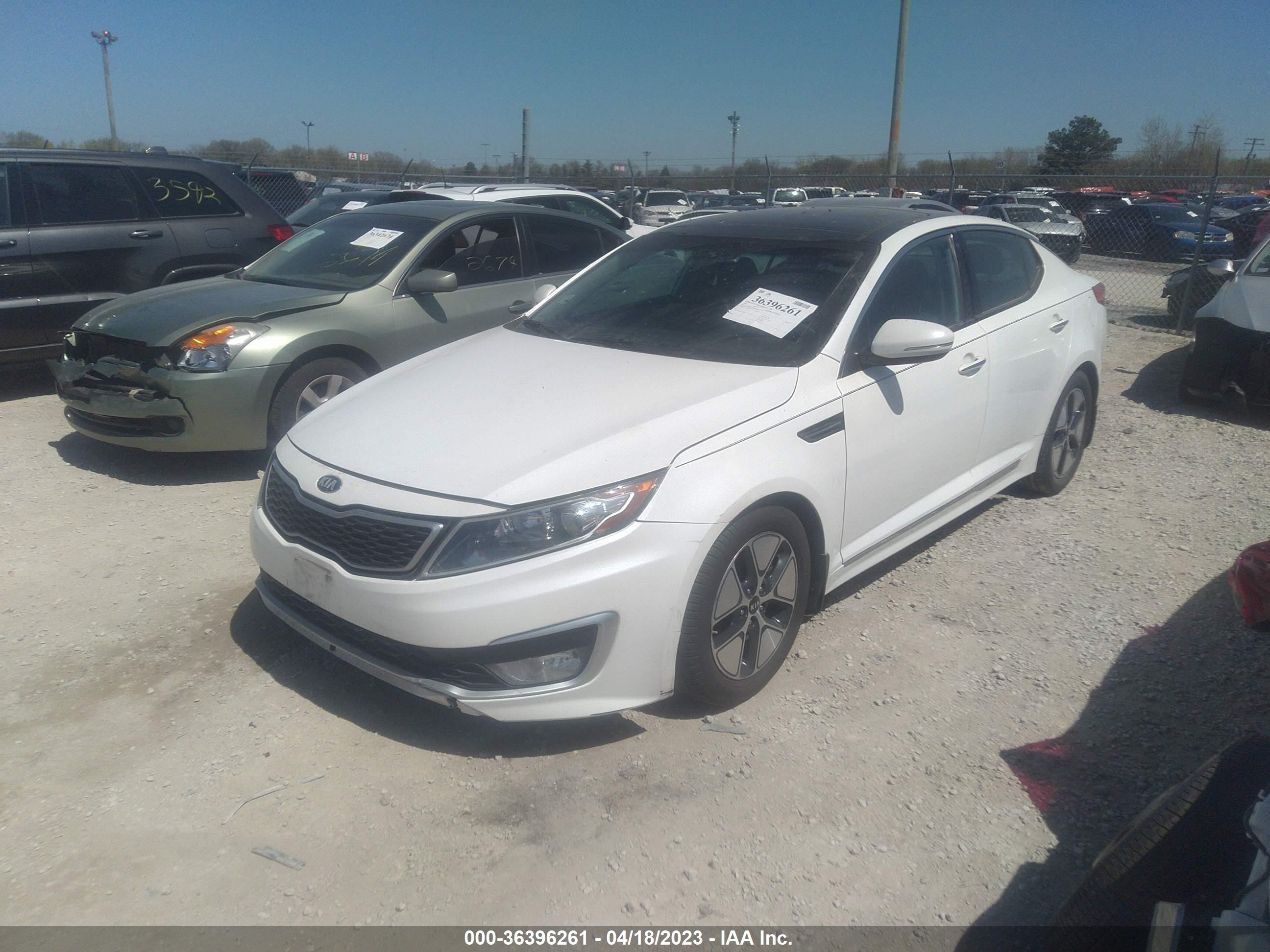 Photo 1 VIN: KNAGM4AD1D5053100 - KIA OPTIMA 