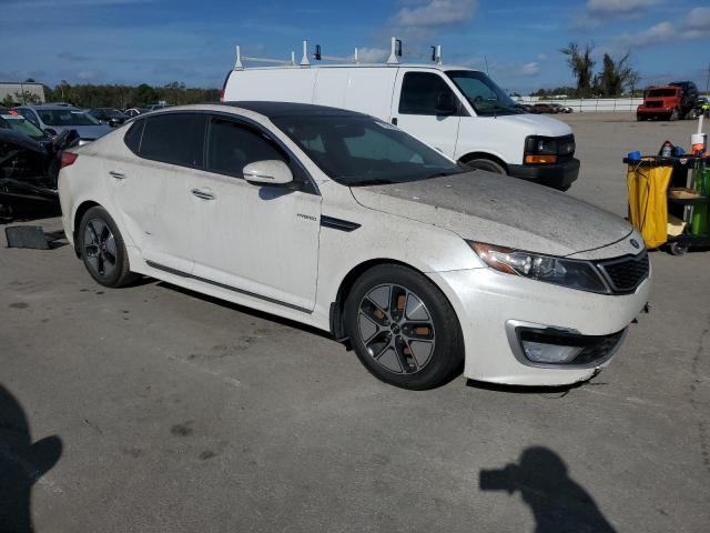 Photo 3 VIN: KNAGM4AD2D5051906 - KIA OPTIMA 