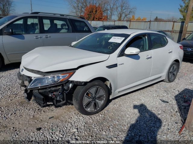 Photo 1 VIN: KNAGM4AD2D5052795 - KIA OPTIMA HYBRID 