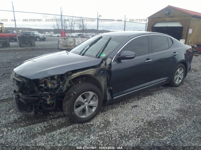 Photo 1 VIN: KNAGM4AD2F5081541 - KIA OPTIMA 