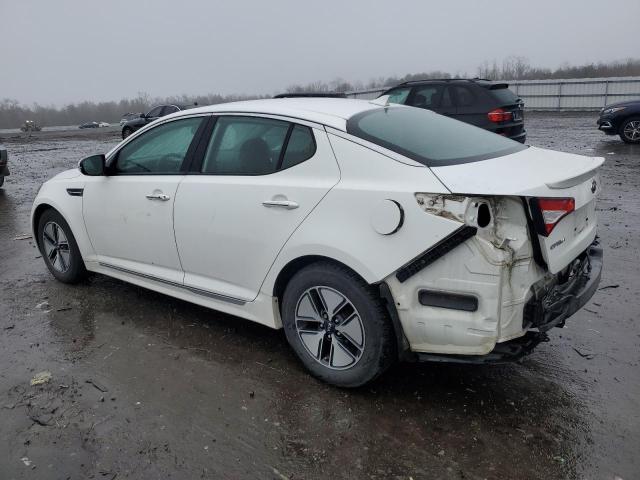 Photo 1 VIN: KNAGM4AD3B5000556 - KIA OPTIMA 