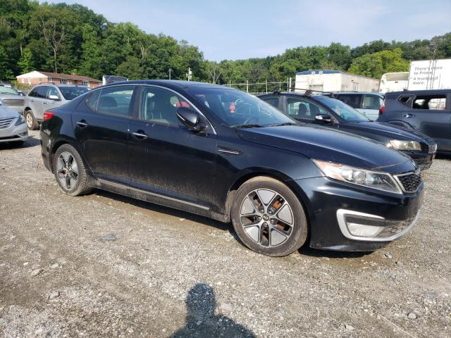 Photo 3 VIN: KNAGM4AD3C5032750 - KIA OPTIMA HYB 