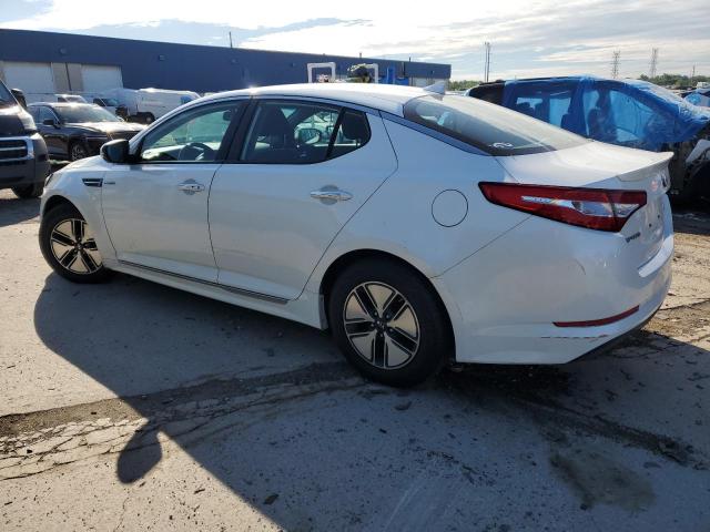 Photo 1 VIN: KNAGM4AD3D5060307 - KIA OPTIMA 