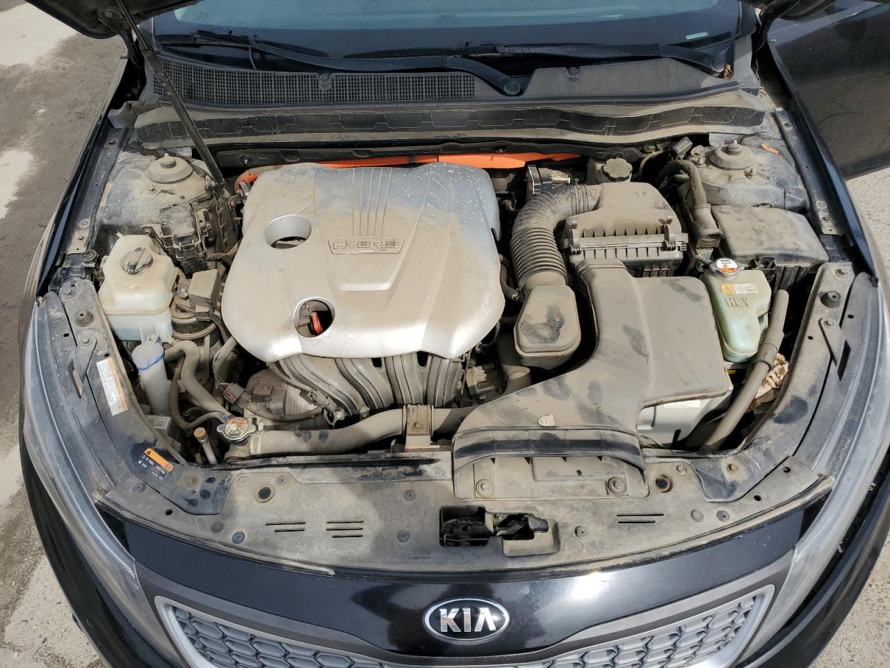 Photo 10 VIN: KNAGM4AD3F5083119 - KIA OPTIMA 