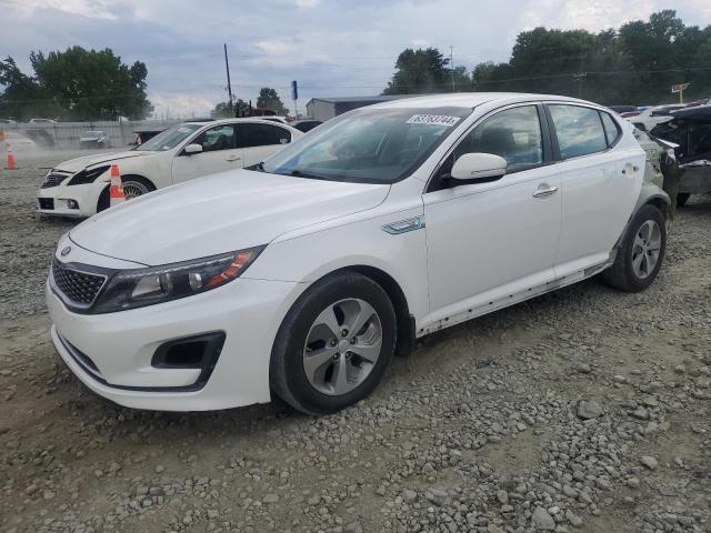 Photo 0 VIN: KNAGM4AD3G5093036 - KIA OPTIMA 