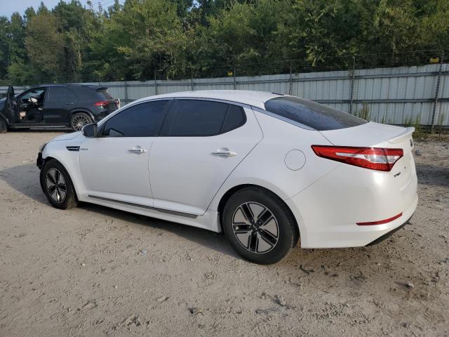 Photo 1 VIN: KNAGM4AD4D5044004 - KIA OPTIMA HYB 