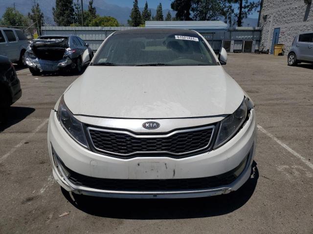 Photo 4 VIN: KNAGM4AD4D5049705 - KIA OPTIMA 