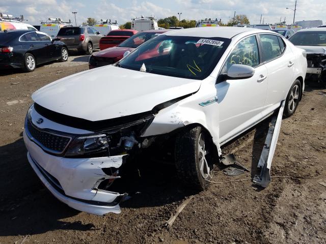 Photo 1 VIN: KNAGM4AD4E5067316 - KIA OPTIMA HYB 