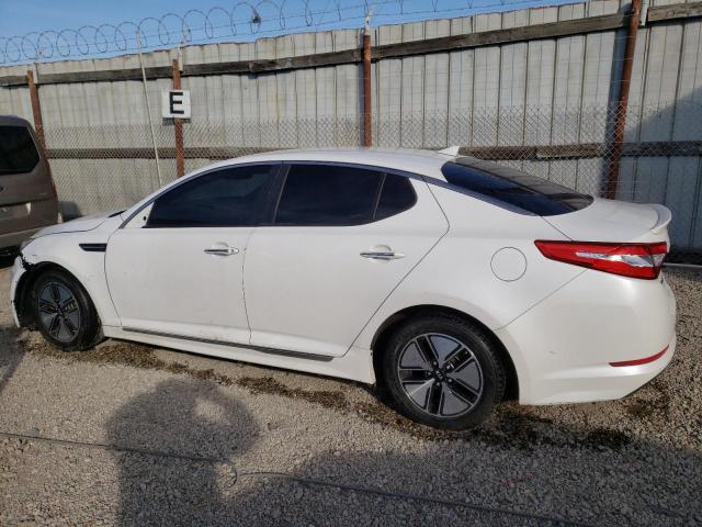 Photo 1 VIN: KNAGM4AD5B5003362 - KIA OPTIMA 