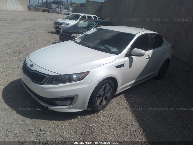 Photo 1 VIN: KNAGM4AD5C5025542 - KIA OPTIMA 