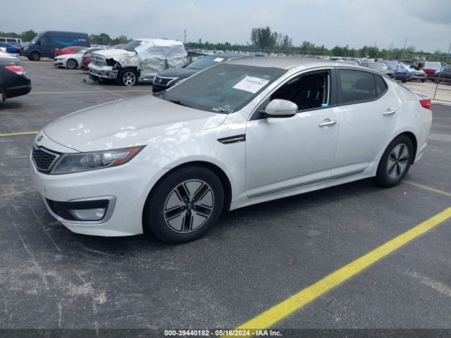 Photo 1 VIN: KNAGM4AD5C5035598 - KIA OPTIMA HYBRID 