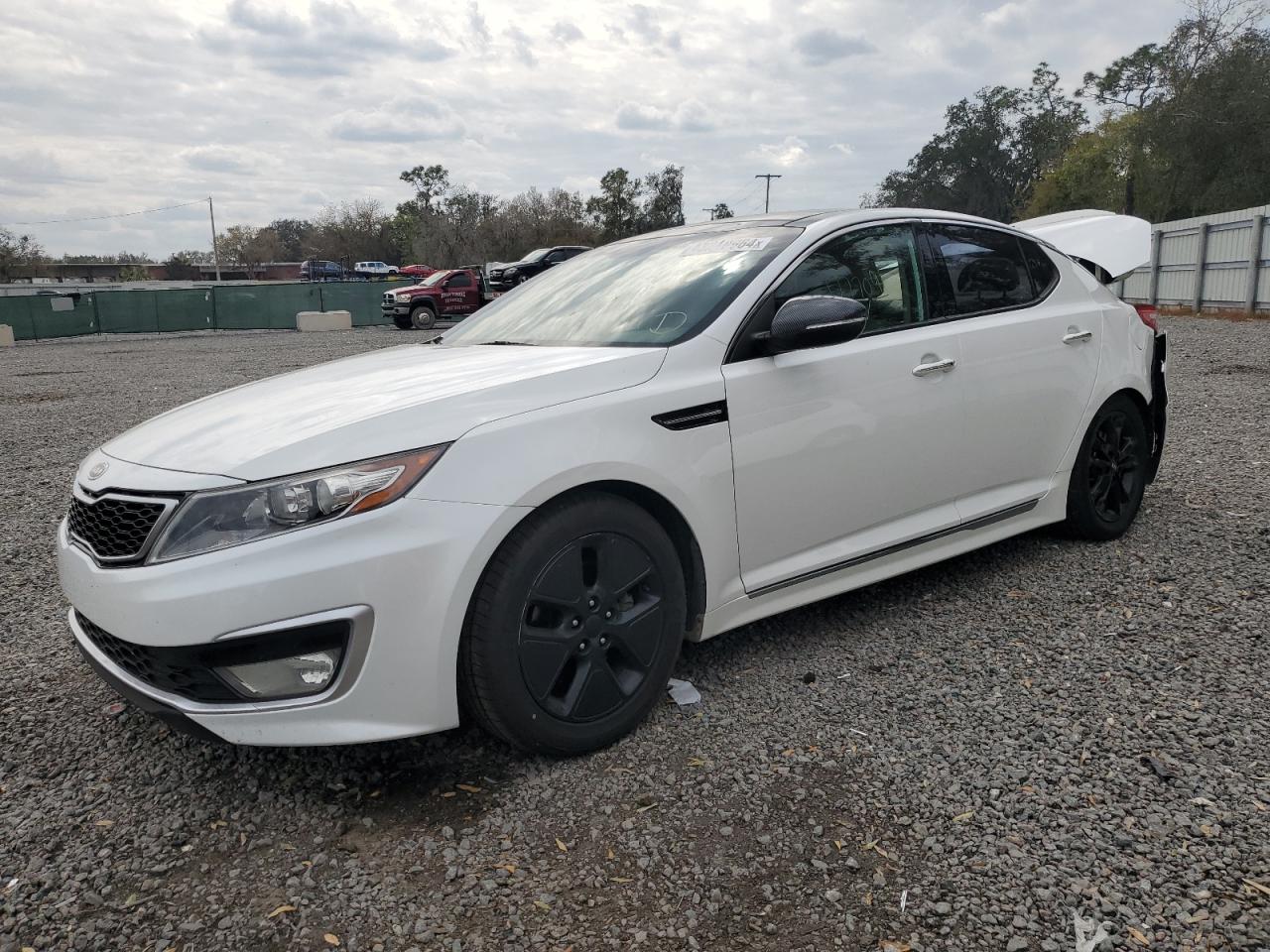 Photo 0 VIN: KNAGM4AD5D5044755 - KIA OPTIMA 