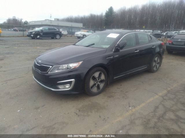 Photo 1 VIN: KNAGM4AD5D5057134 - KIA OPTIMA HYBRID 