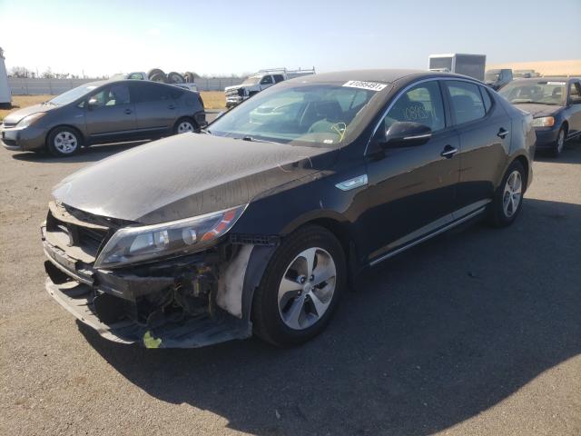 Photo 1 VIN: KNAGM4AD5E5069320 - KIA OPTIMA 