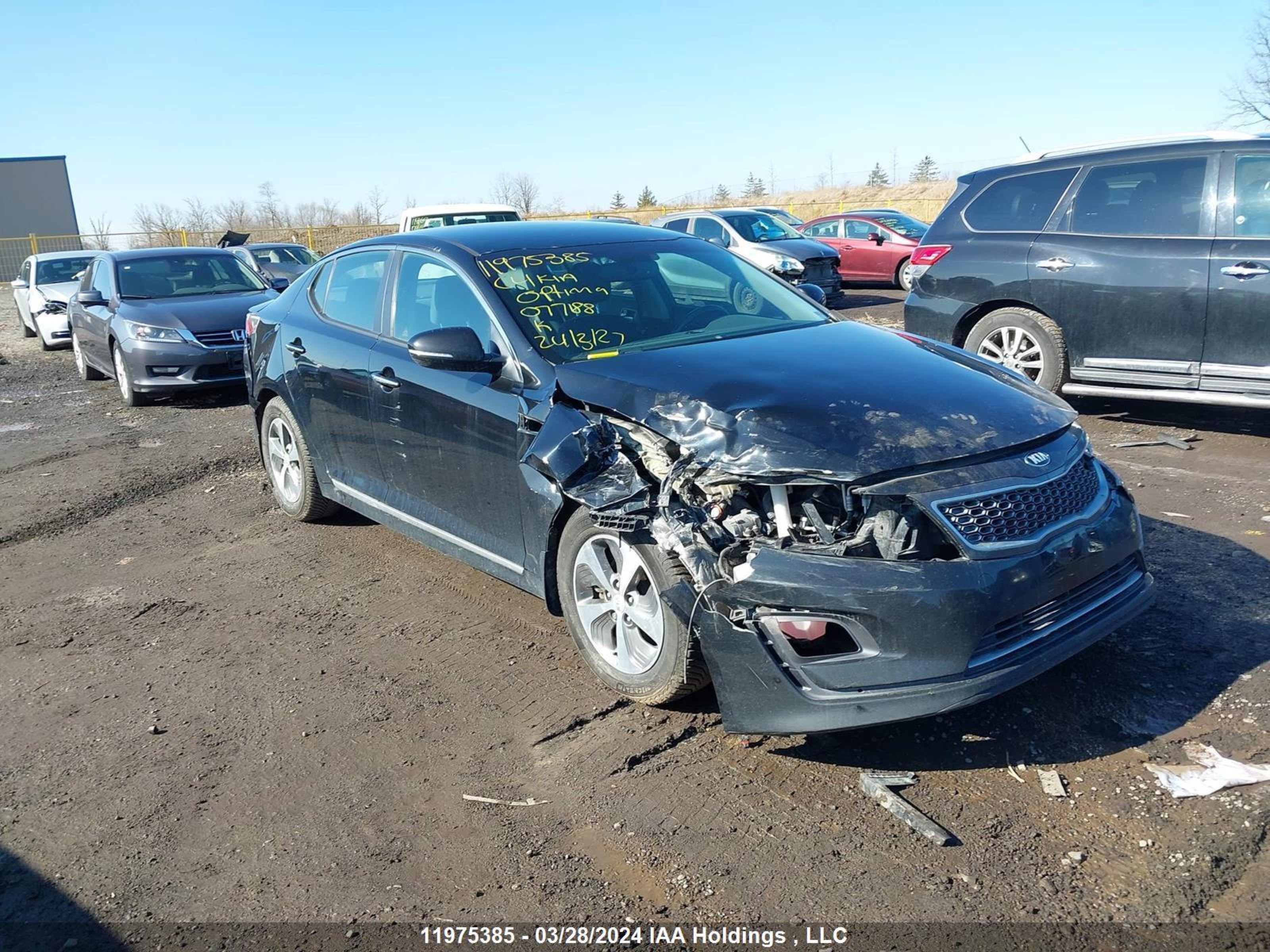 Photo 0 VIN: KNAGM4AD5E5077188 - KIA OPTIMA 