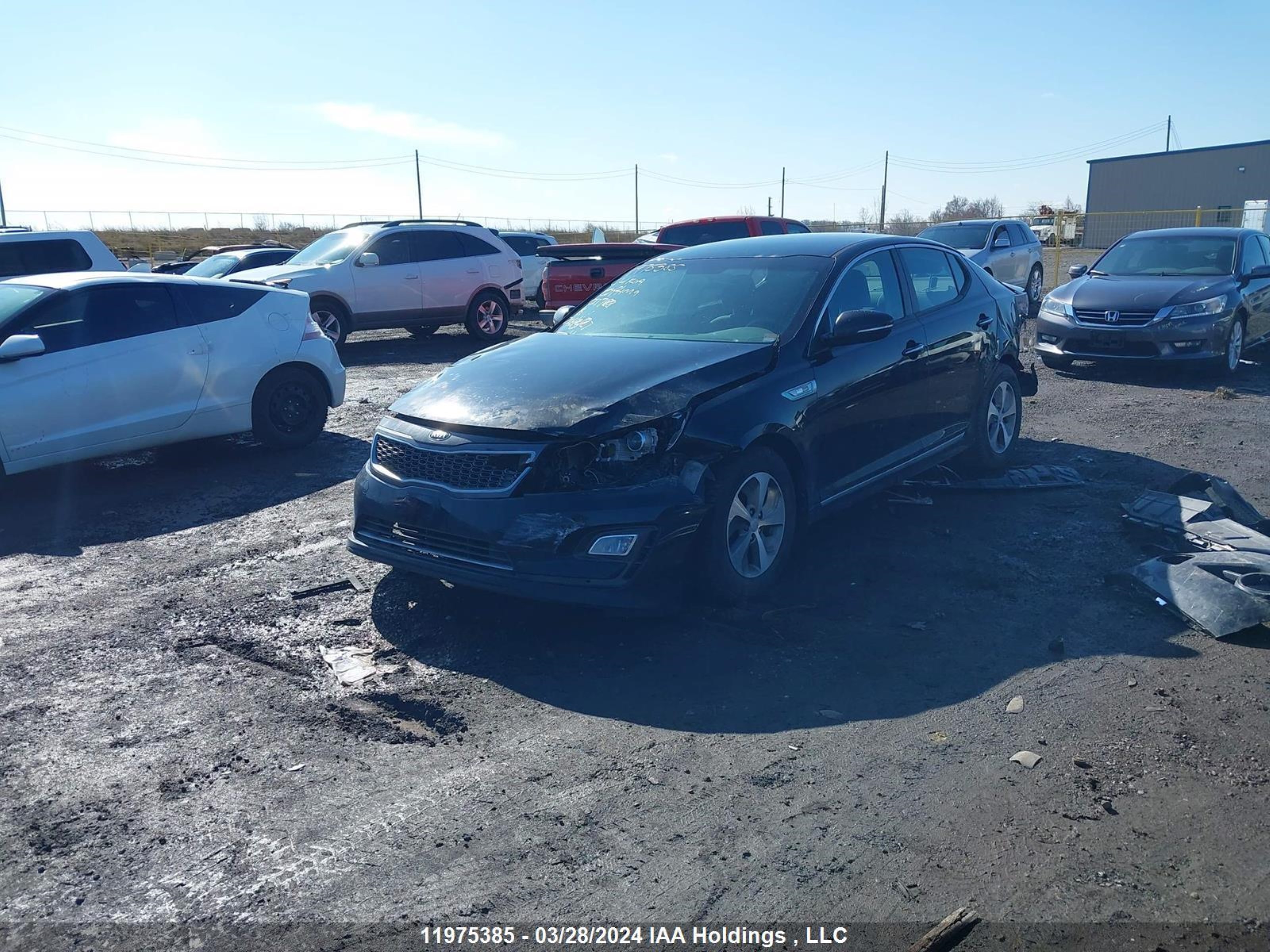 Photo 1 VIN: KNAGM4AD5E5077188 - KIA OPTIMA 