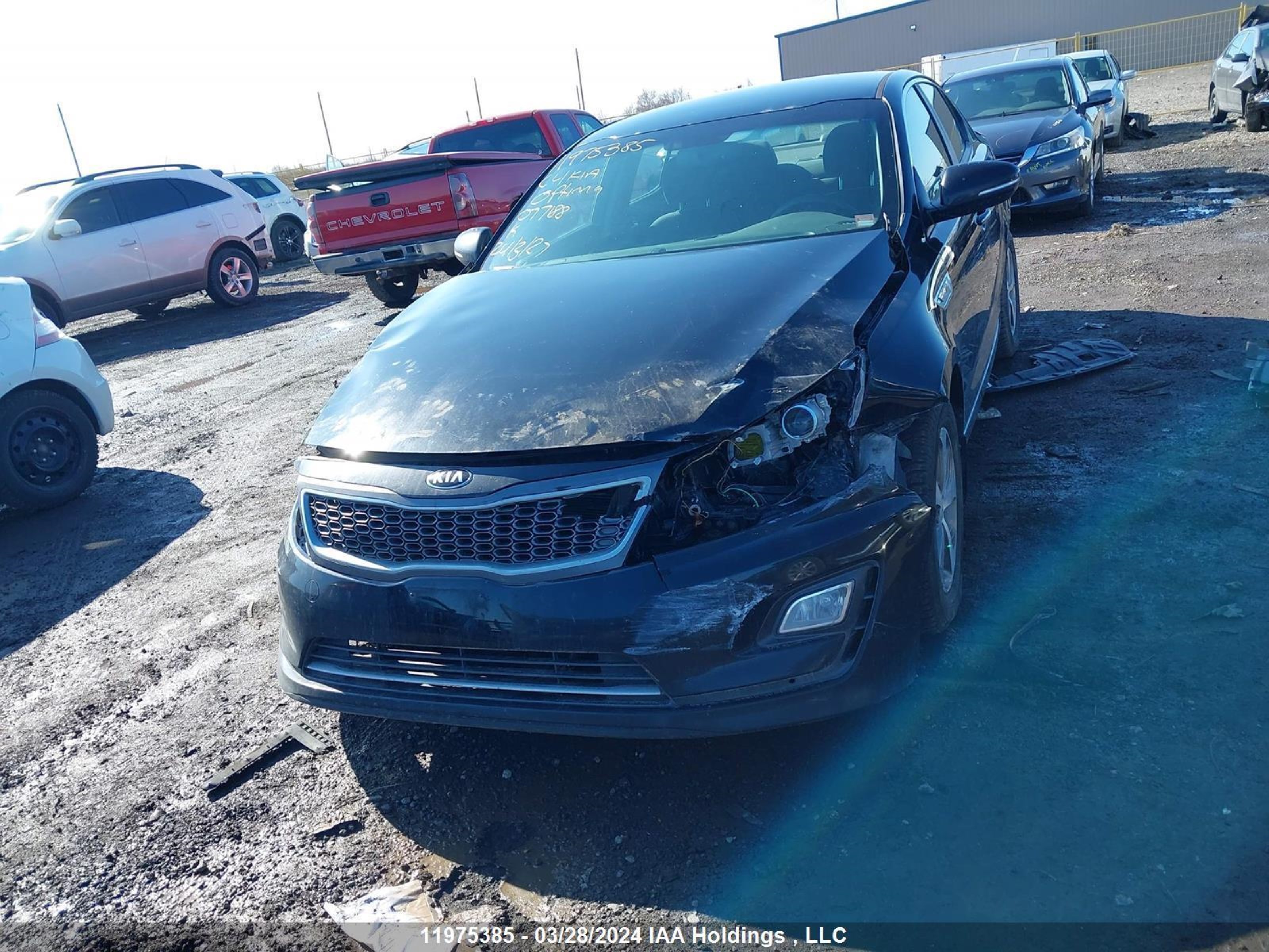 Photo 11 VIN: KNAGM4AD5E5077188 - KIA OPTIMA 