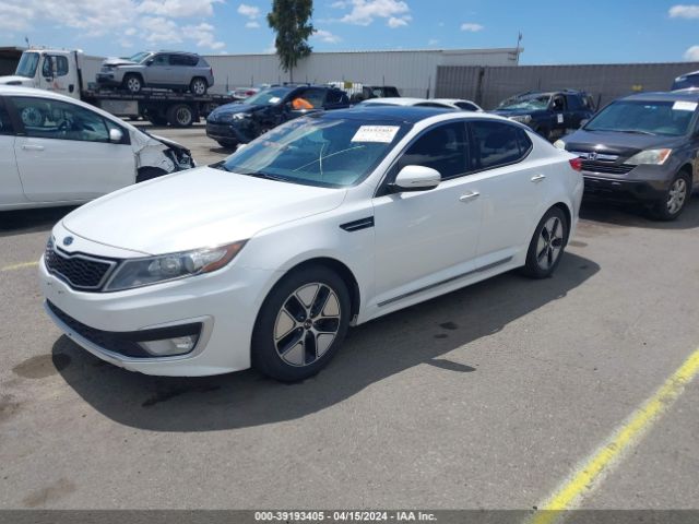 Photo 1 VIN: KNAGM4AD6B5007940 - KIA OPTIMA HYBRID 