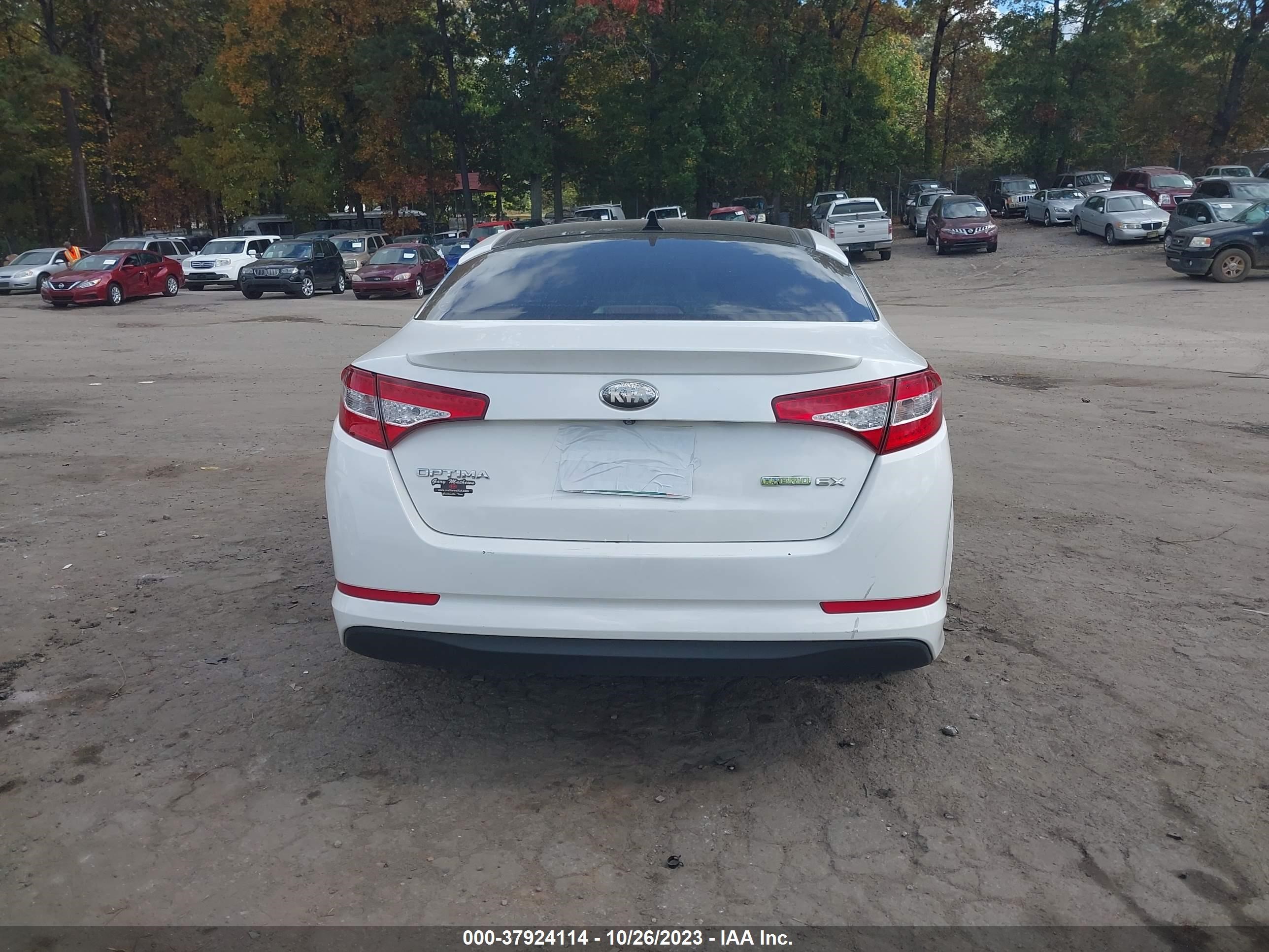 Photo 15 VIN: KNAGM4AD6D5041654 - KIA OPTIMA 