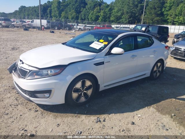 Photo 1 VIN: KNAGM4AD6D5058261 - KIA OPTIMA 