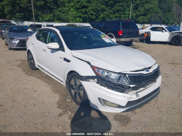 Photo 5 VIN: KNAGM4AD6D5058261 - KIA OPTIMA 