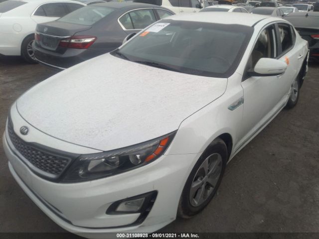 Photo 1 VIN: KNAGM4AD6F5084295 - KIA OPTIMA 