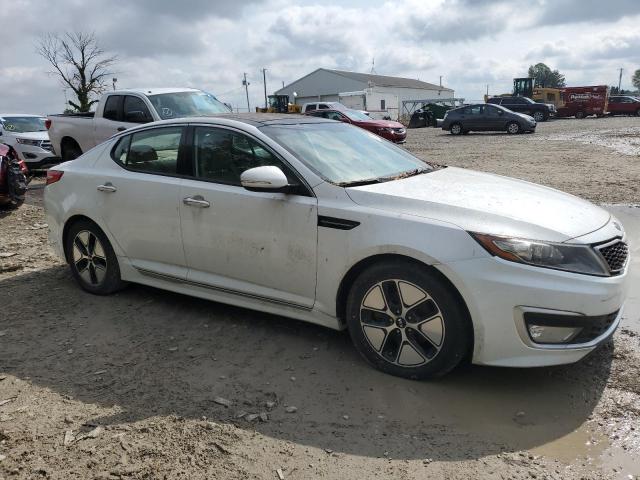 Photo 3 VIN: KNAGM4AD7C5009326 - KIA OPTIMA 