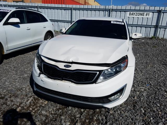 Photo 8 VIN: KNAGM4AD8C5032792 - KIA OPTIMA 