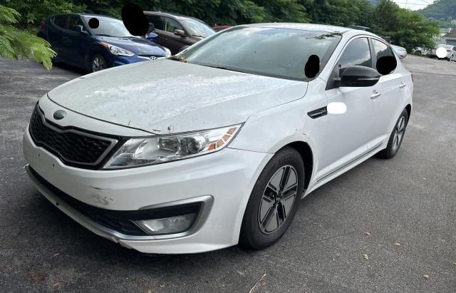 Photo 1 VIN: KNAGM4AD8D5044331 - KIA OPTIMA 