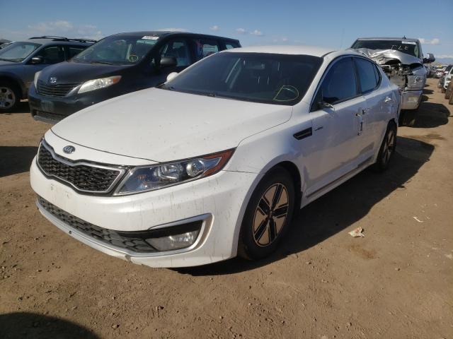 Photo 1 VIN: KNAGM4AD8D5049951 - KIA OPTIMA HYB 