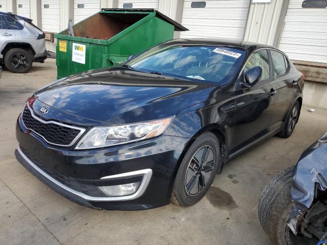 Photo 0 VIN: KNAGM4AD8D5062201 - KIA OPTIMA HYB 