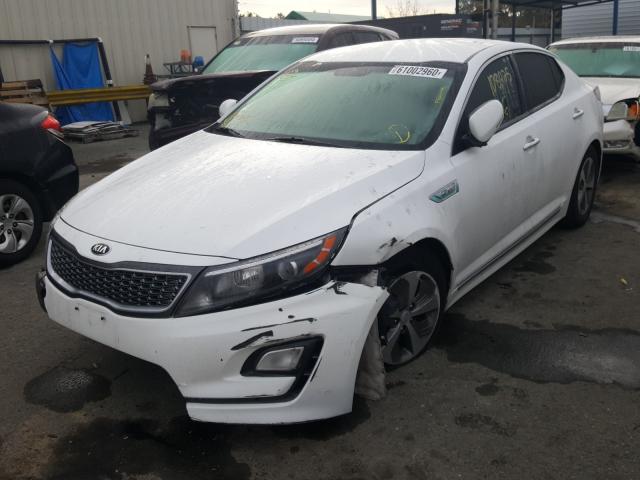 Photo 1 VIN: KNAGM4AD8E5075287 - KIA OPTIMA HYB 