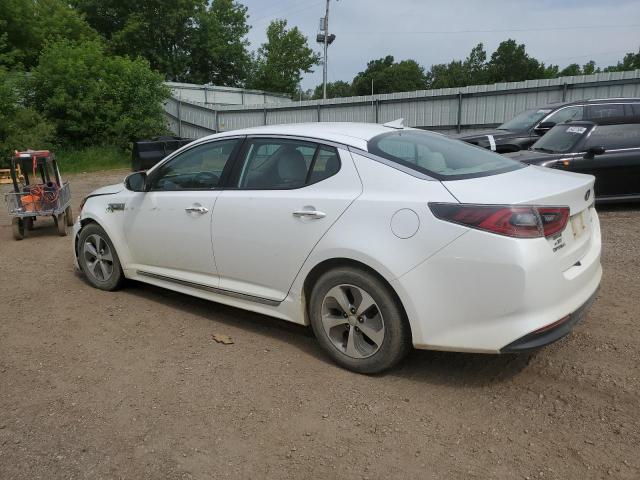 Photo 1 VIN: KNAGM4AD8F5082581 - KIA OPTIMA HYB 