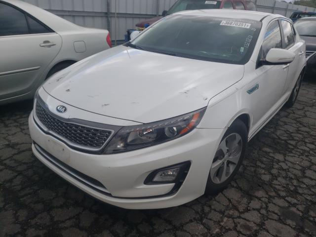 Photo 1 VIN: KNAGM4AD9F5077650 - KIA OPTIMA HYB 