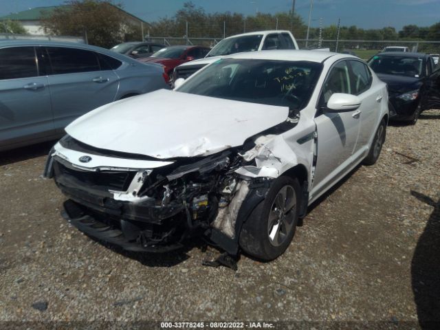 Photo 1 VIN: KNAGM4AD9F5081164 - KIA OPTIMA HYBRID 