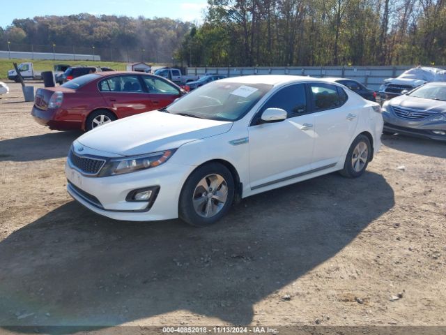 Photo 1 VIN: KNAGM4AD9G5092389 - KIA OPTIMA 