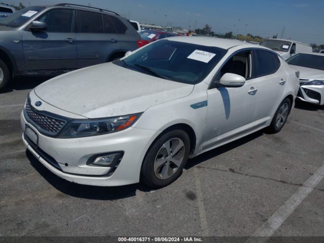 Photo 1 VIN: KNAGM4AD9G5099438 - KIA OPTIMA 