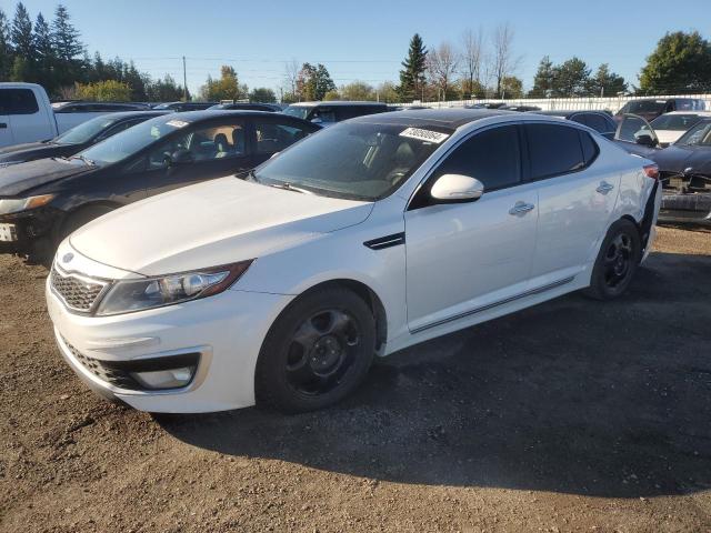 Photo 0 VIN: KNAGM4ADXD5043066 - KIA OPTIMA HYB 