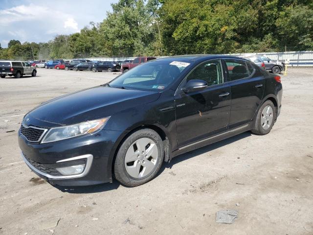 Photo 0 VIN: KNAGM4ADXD5053158 - KIA OPTIMA HYB 