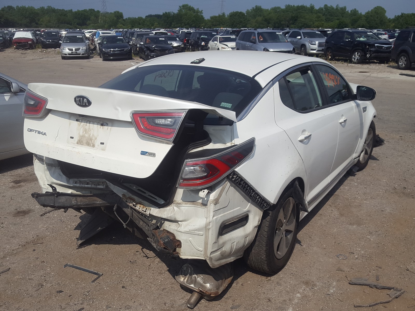 Photo 3 VIN: KNAGM4ADXE5070527 - KIA OPTIMA HYB 