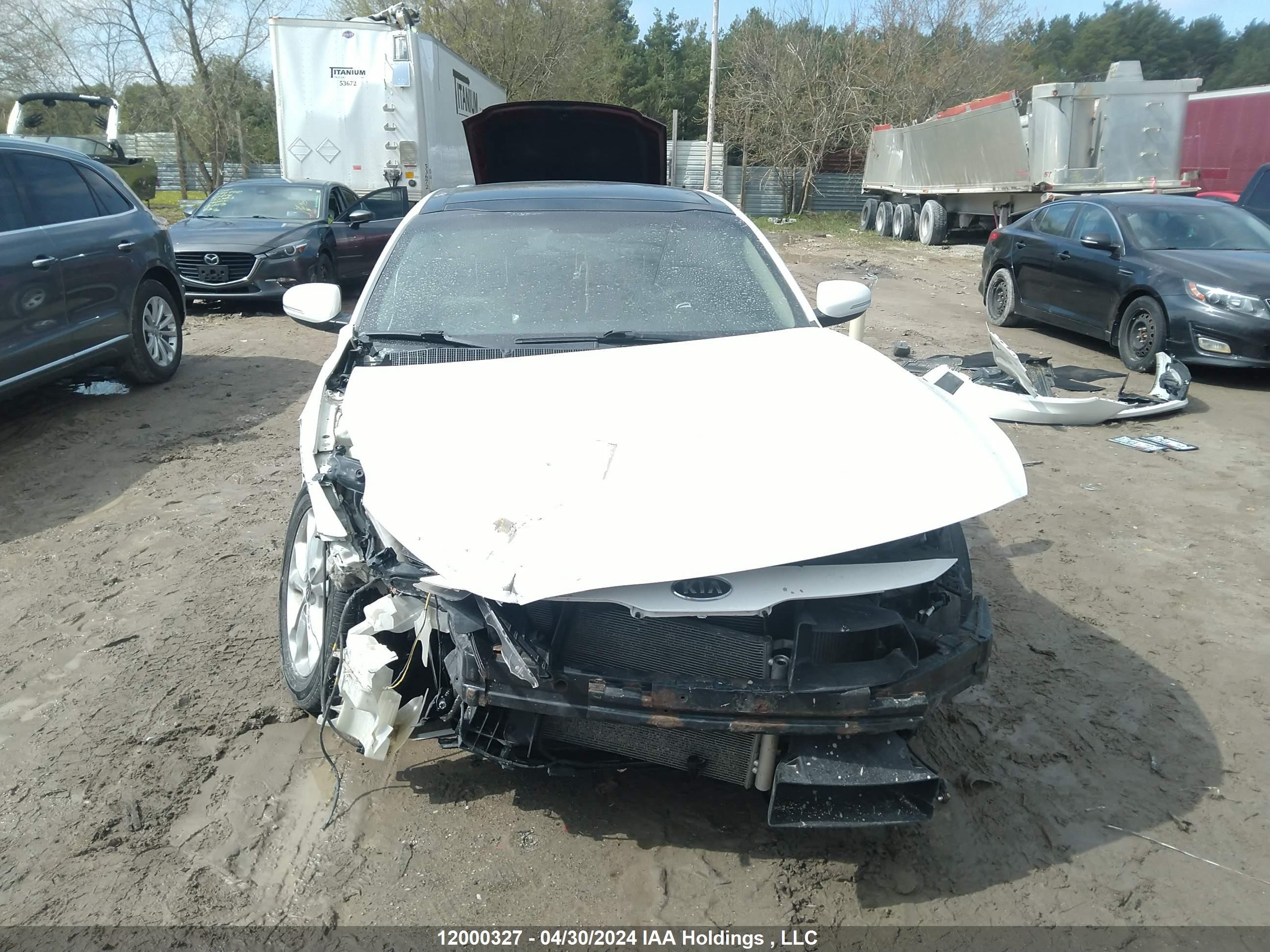 Photo 12 VIN: KNAGN4A60C5263152 - KIA OPTIMA 