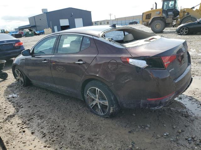 Photo 1 VIN: KNAGN4A68B5135434 - KIA OPTIMA 