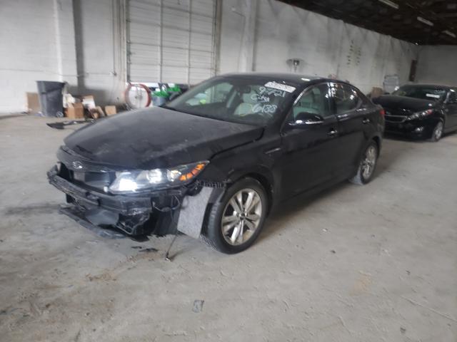 Photo 1 VIN: KNAGN4A68B5146188 - KIA OPTIMA EX 