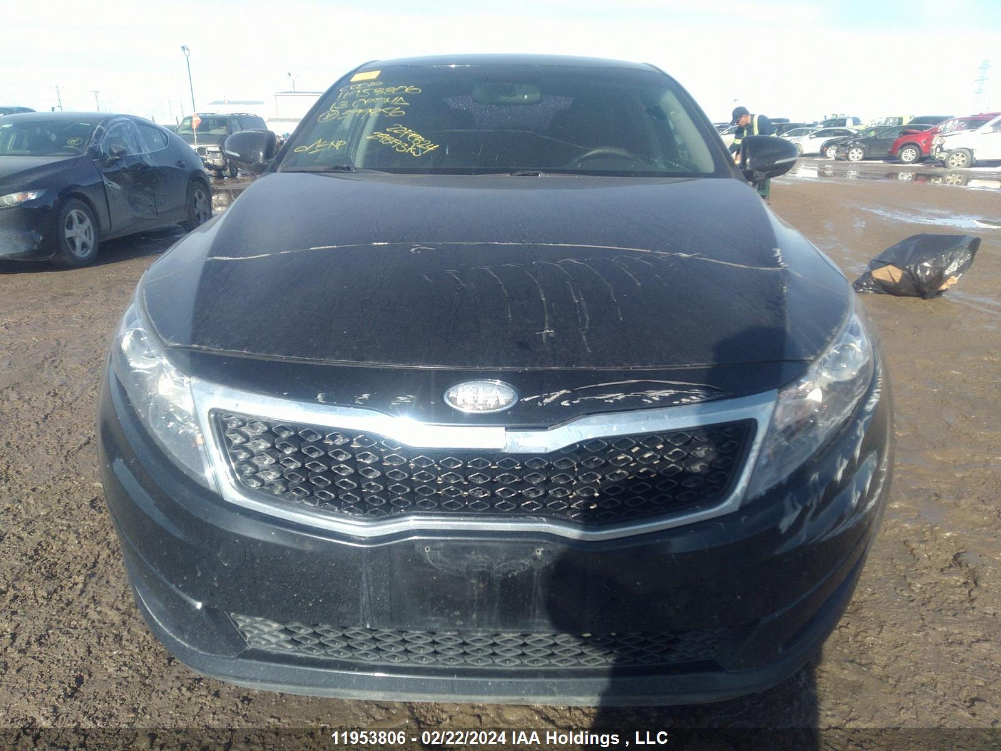 Photo 11 VIN: KNAGN4A70D5399856 - KIA OPTIMA 