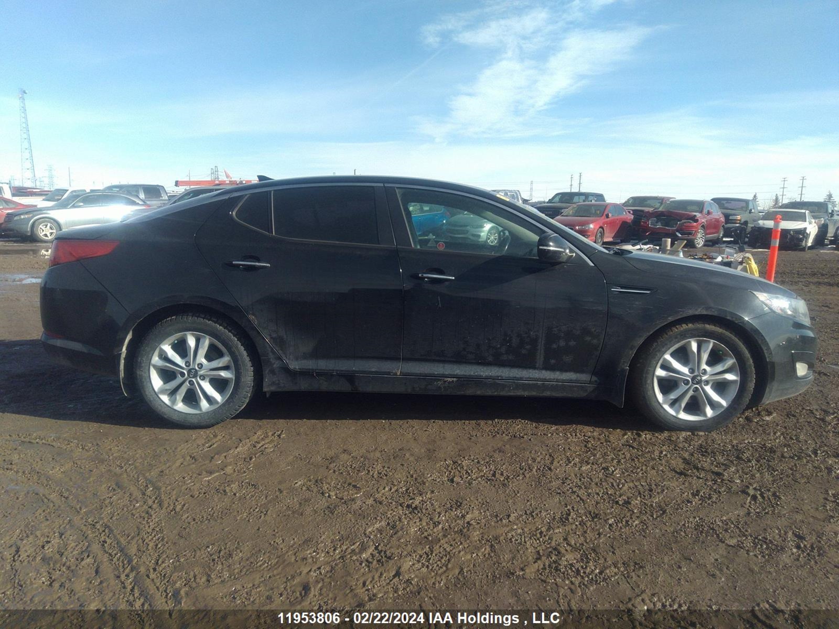 Photo 12 VIN: KNAGN4A70D5399856 - KIA OPTIMA 