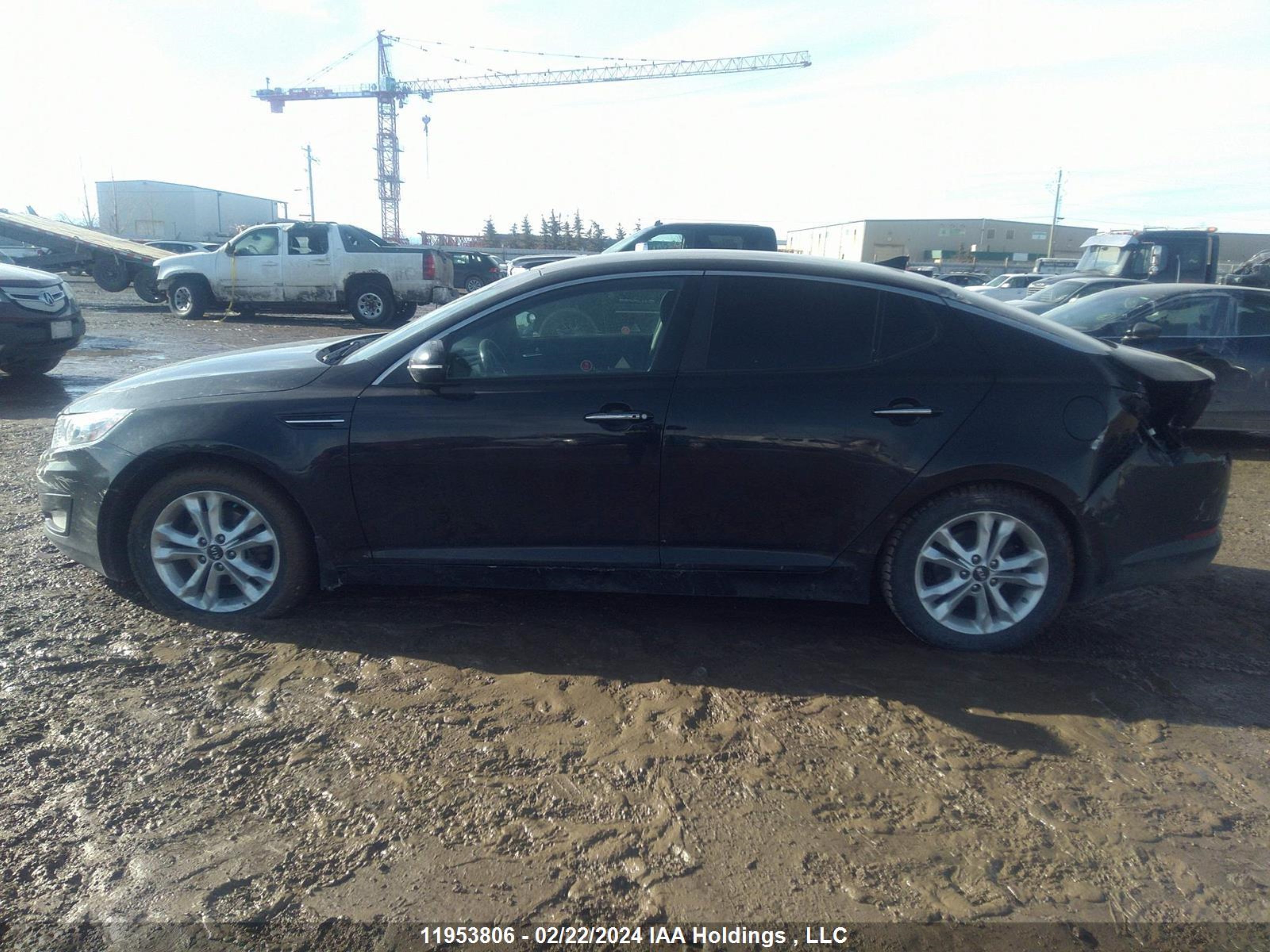 Photo 13 VIN: KNAGN4A70D5399856 - KIA OPTIMA 