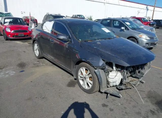 Photo 0 VIN: KNAGN4A71B5094525 - KIA OPTIMA 